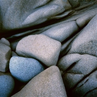 Iguana Rocks, detail