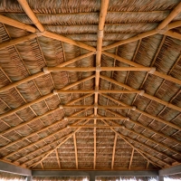 Palapa Ceiling