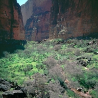 SADDLE CANYON IN GREEN